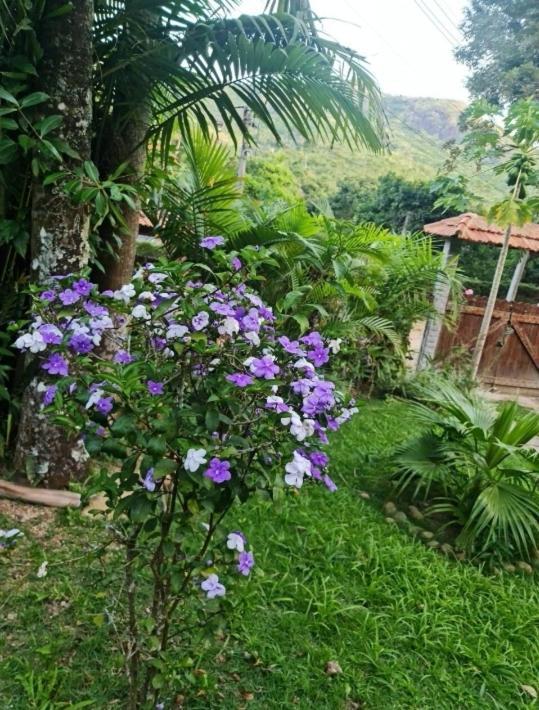 Sitio Borges * Petrópolis